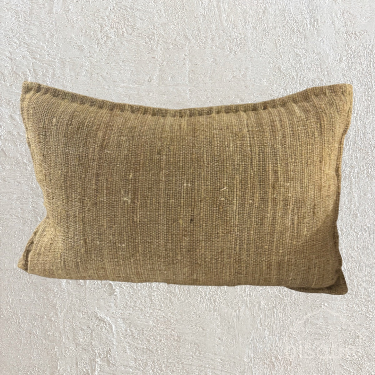 CHRISTIANE2. BRAID SKIN, SILK. CREAM. 60X40CM CUSHION.