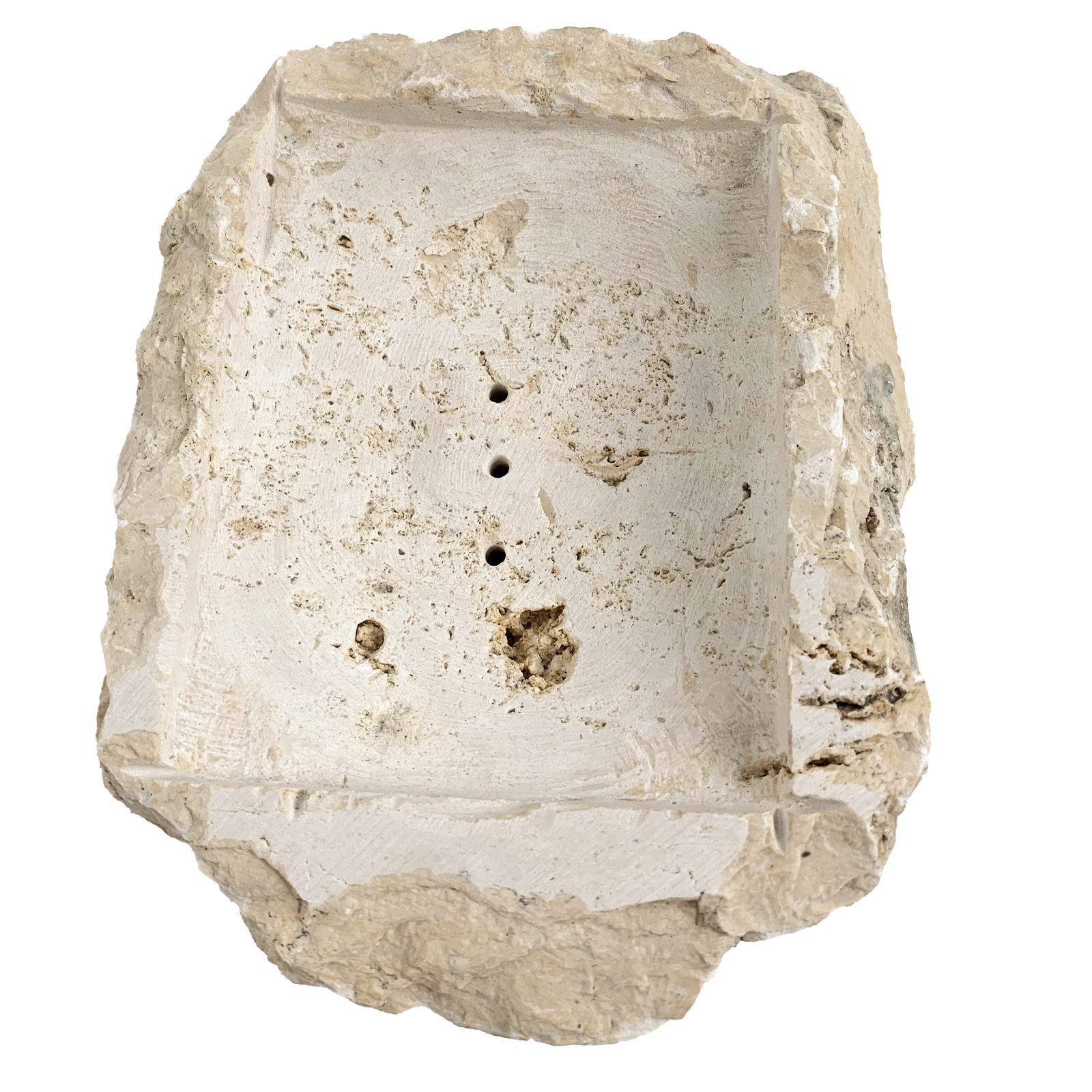 Utari : Soap Dish, fossilised coral