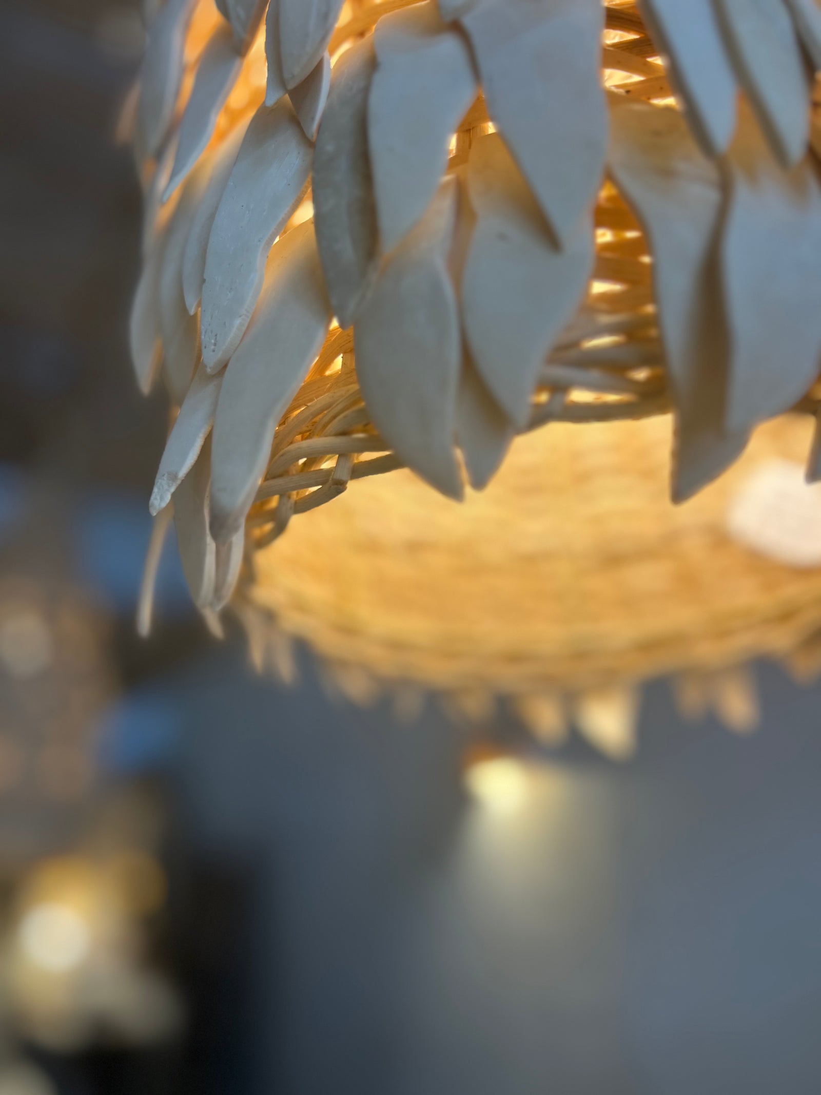 'Zola' Tall Coconut Light