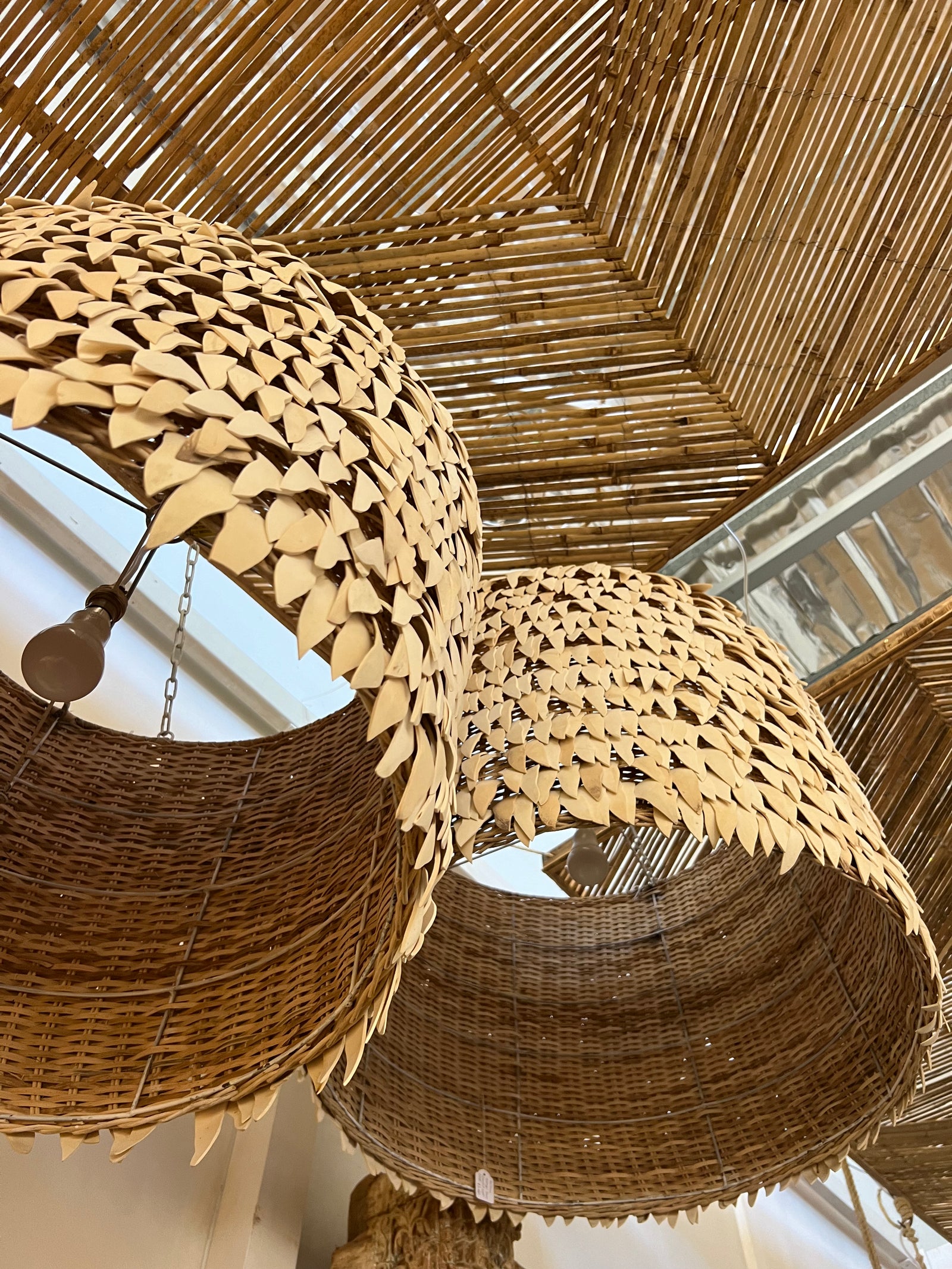 Kamia : Drum Coconut Light Small