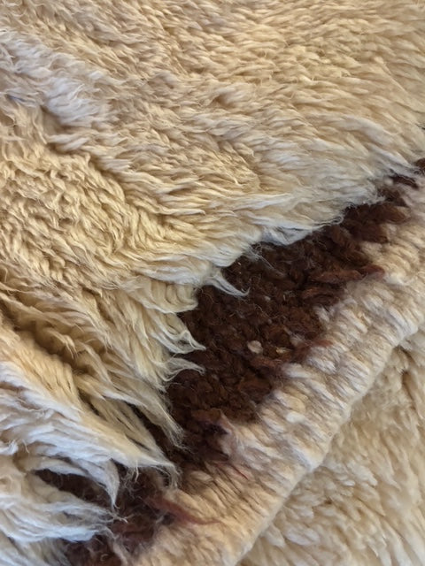 Oujda : Moroccan Rug, Cream with Chocolate Detail, Medium
