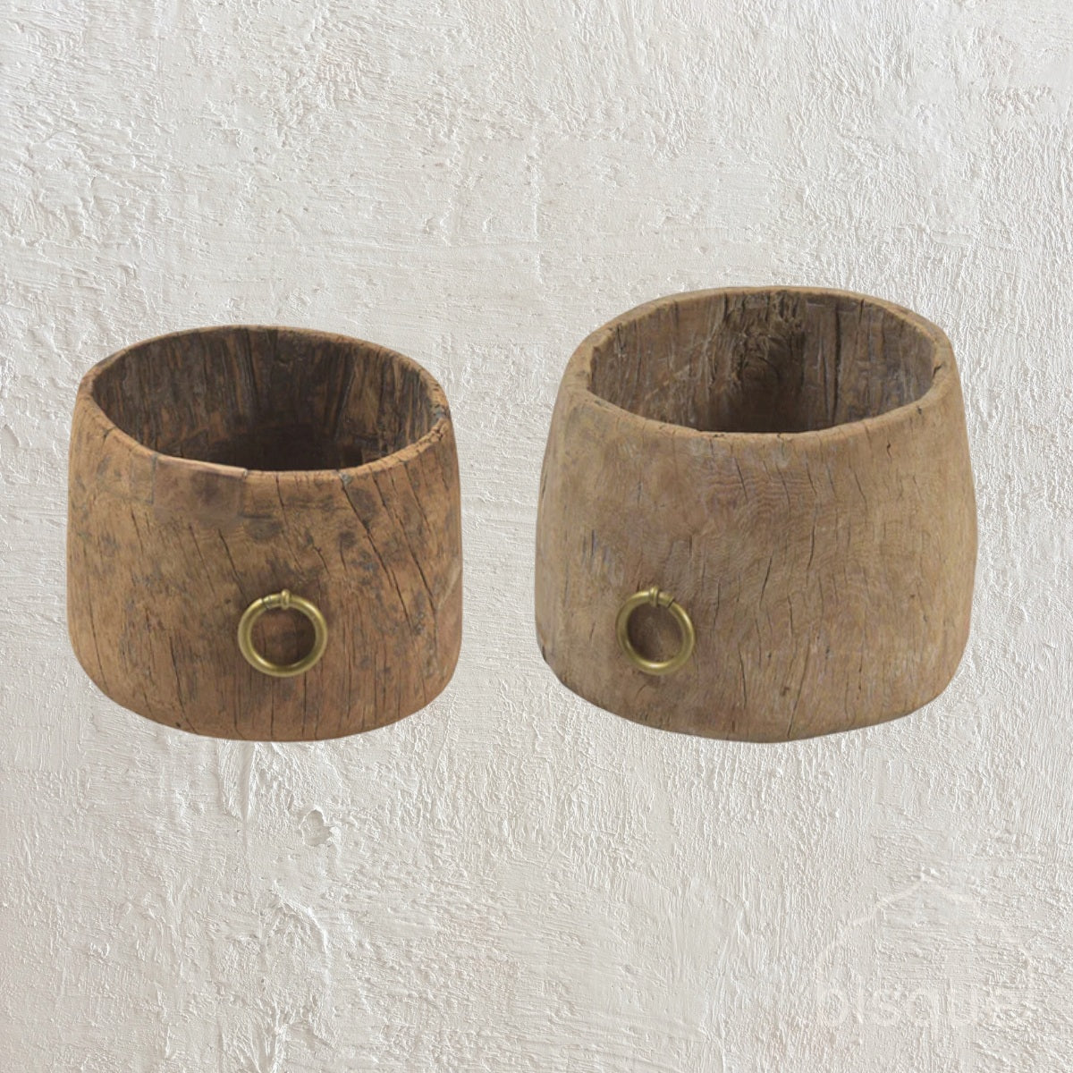 Arun : Pot, Assorted