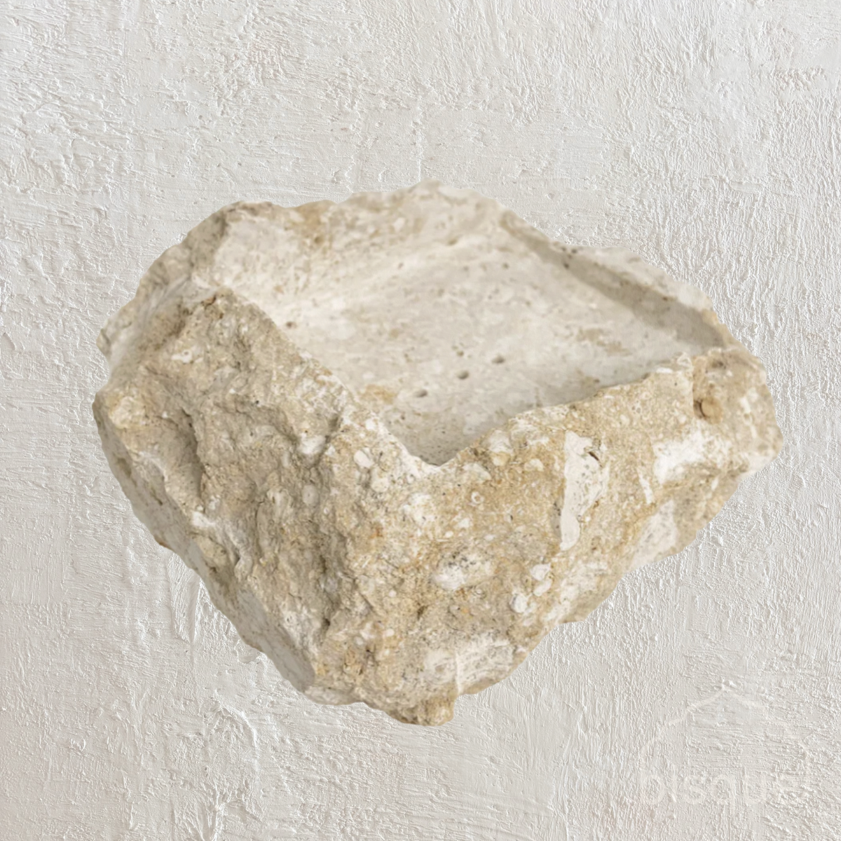 Utari : Soap Dish, fossilised coral