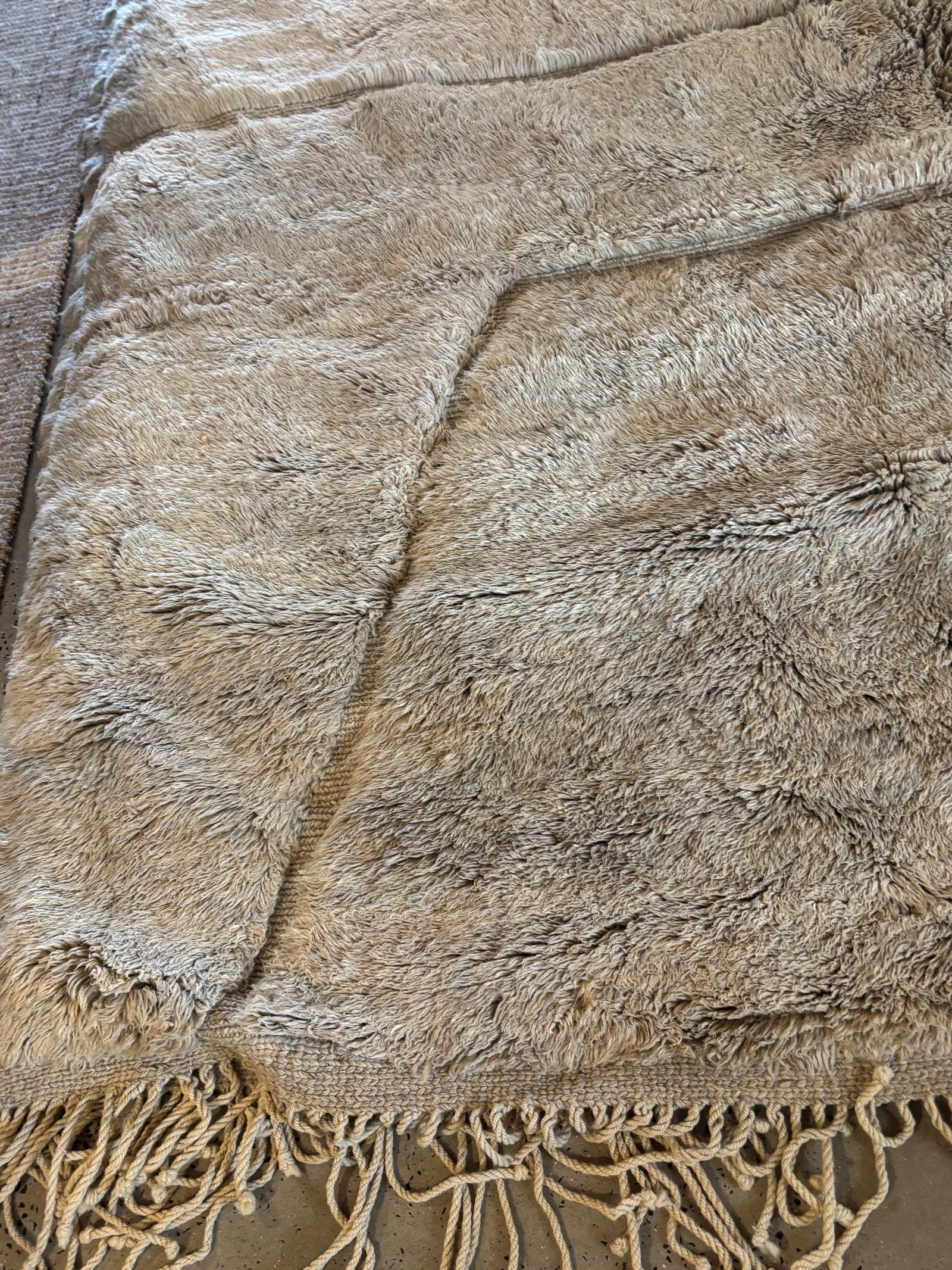 Tangier : Moroccan Rug, Taupe, Large