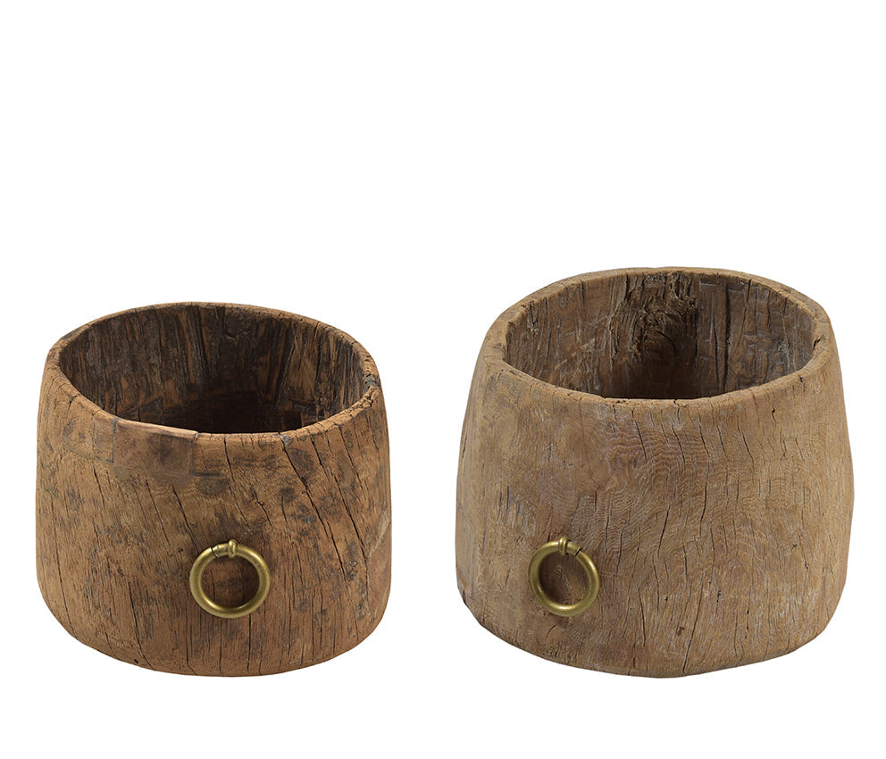 Arun : Pot, Assorted