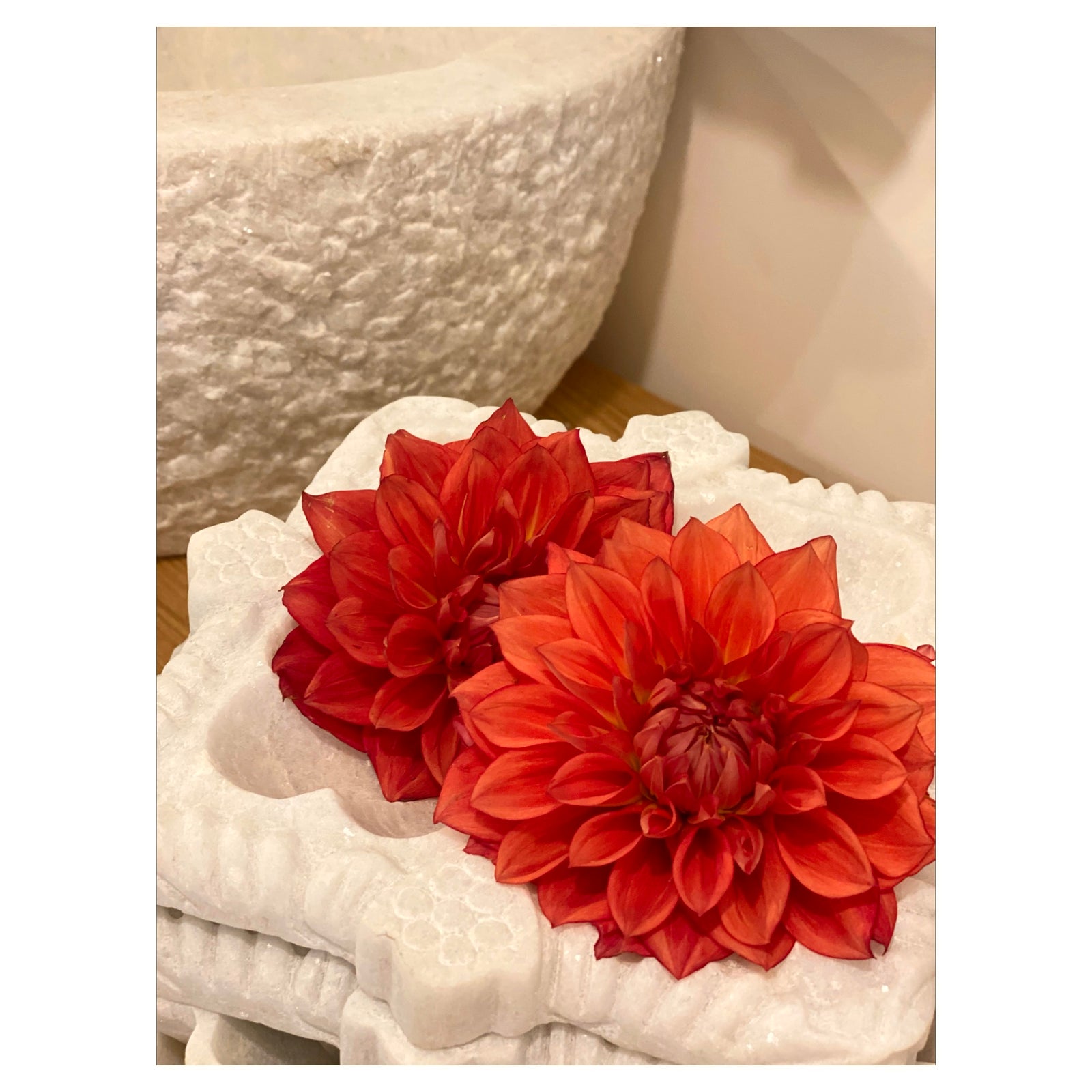 Fhazi : Marble White Square Bowl