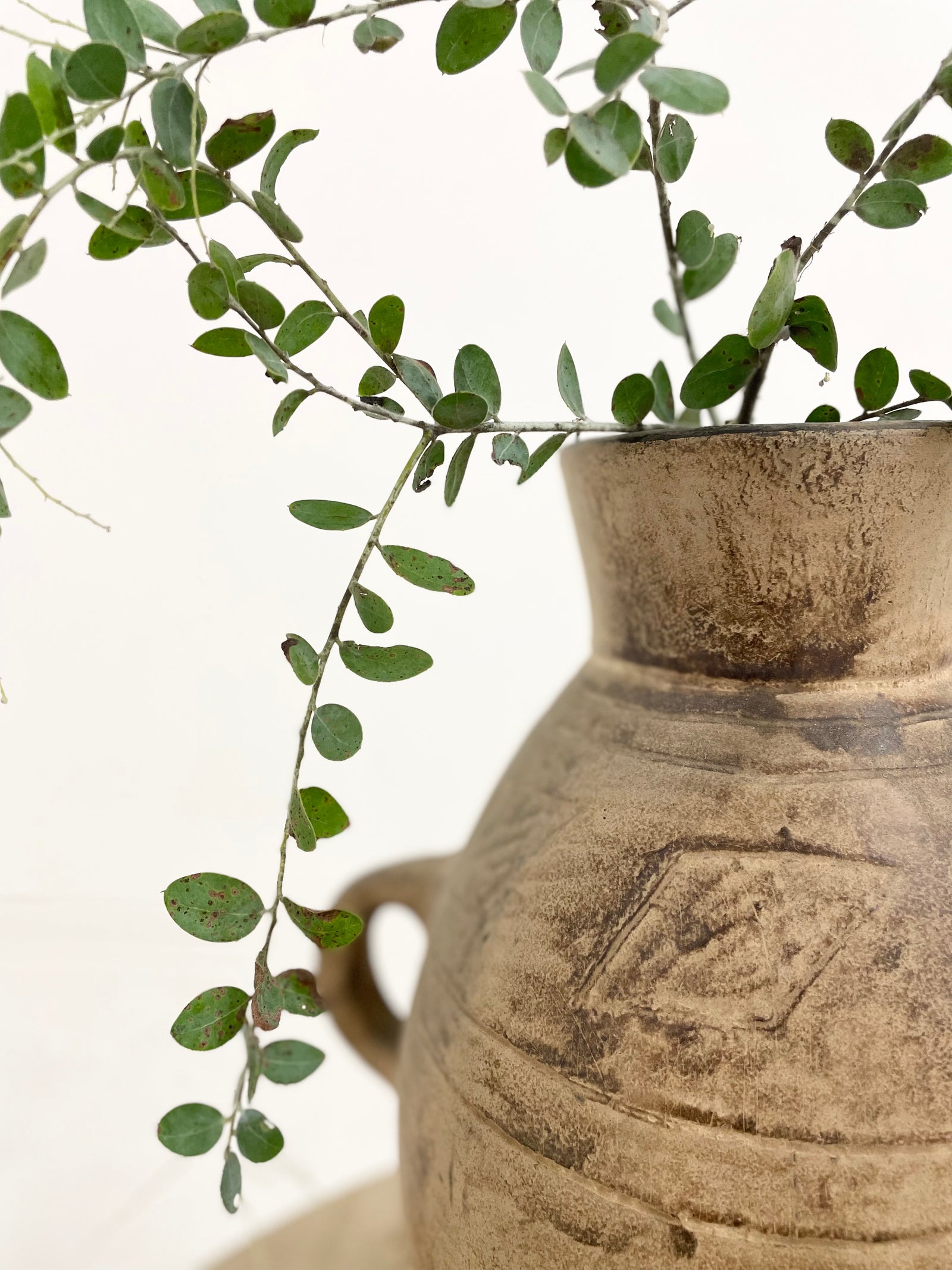 Apiyo : Jug, Double Handle