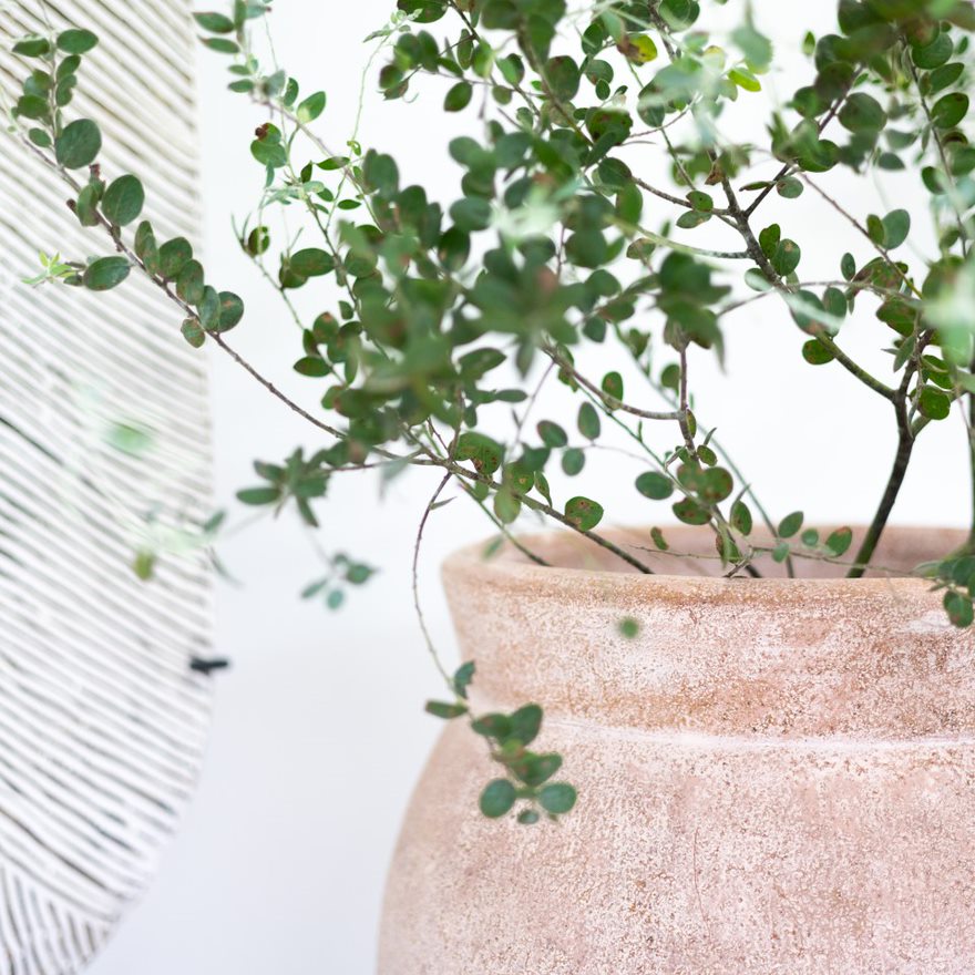 Zondiwe Terracotta Pot, Dusty Pink Small