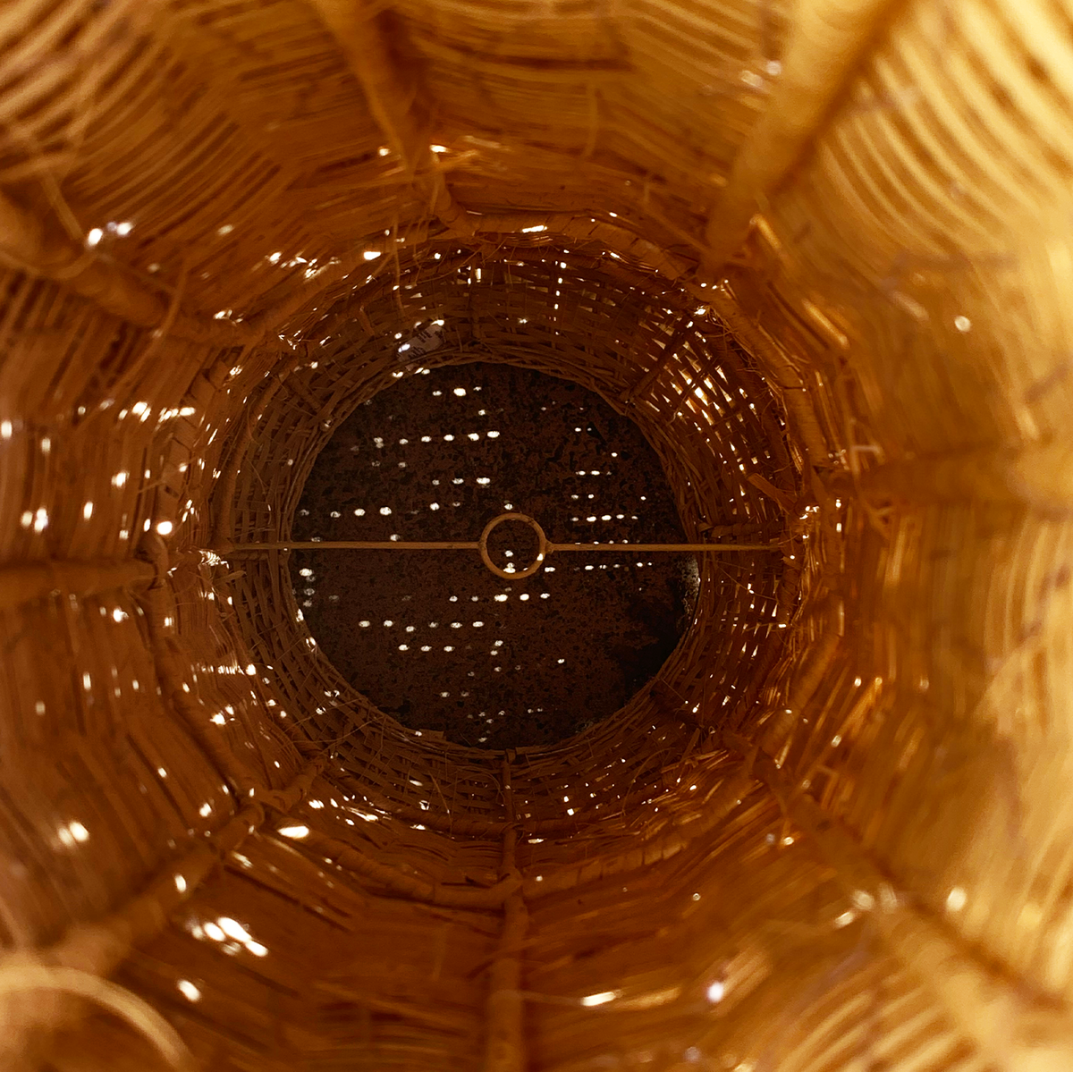 Lestari : Coconut Shell Pendant Light