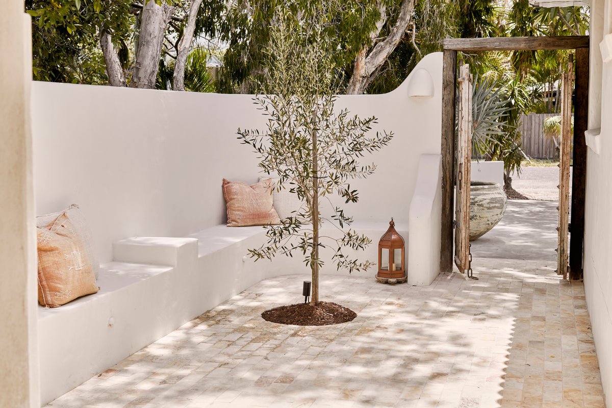 OMAN Natural petrified coral  stone Tiles 200mm x 100mm x 10mm Thick