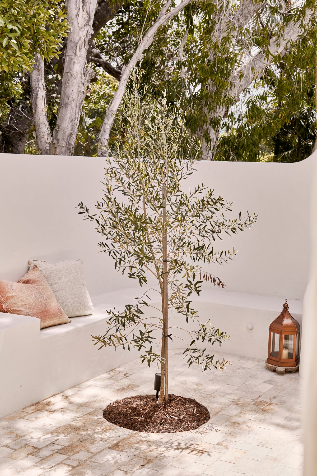 'Seera' Indian Lantern