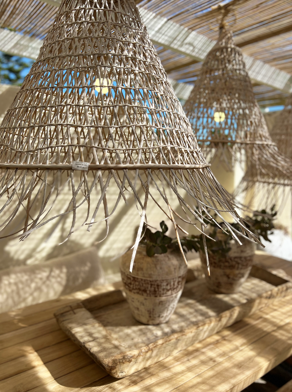 Ola : Terracotta Pot