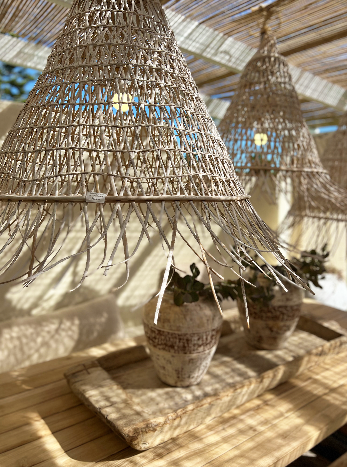 Ola : Terracotta Pot