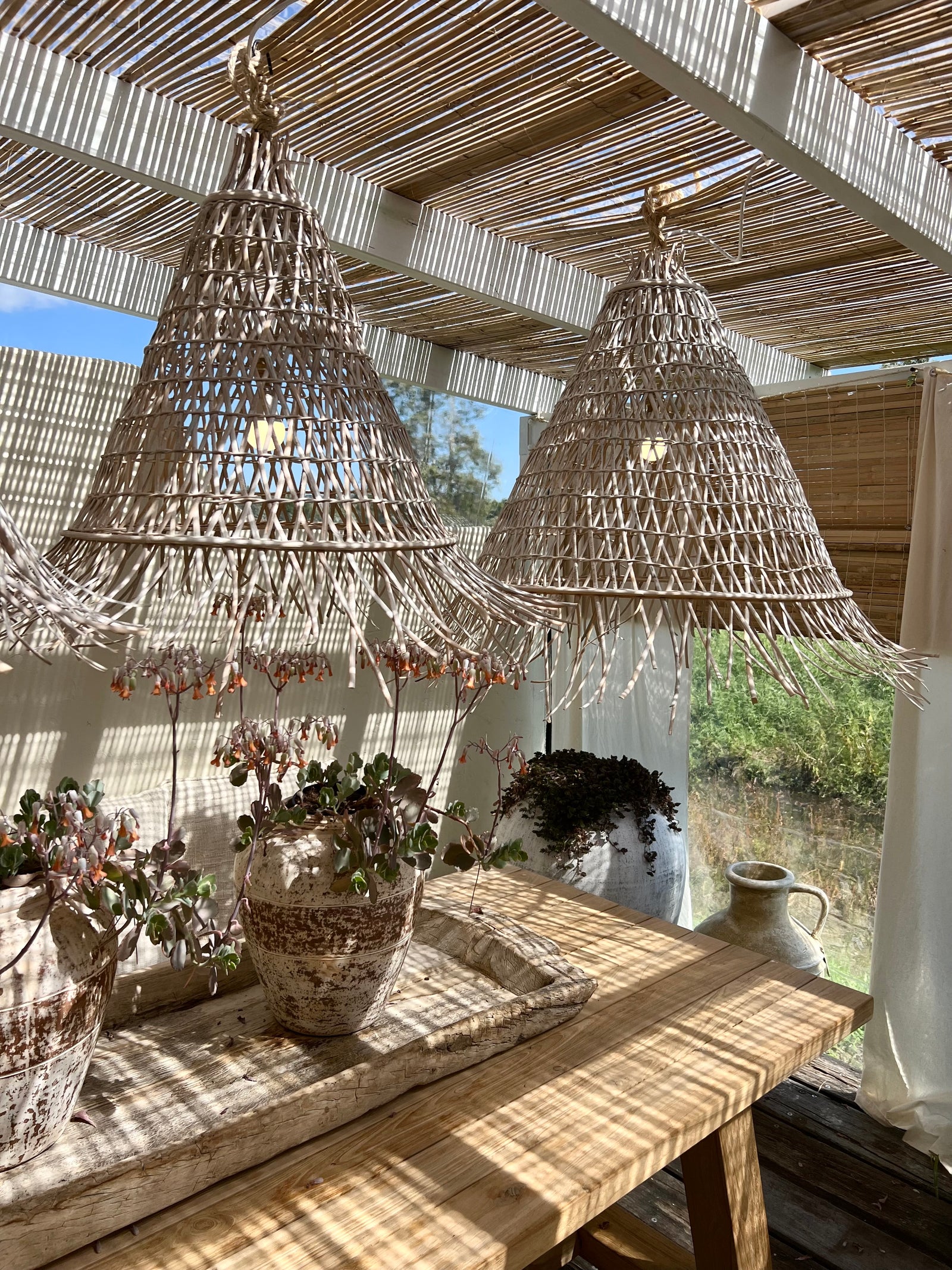 Ola : Terracotta Pot