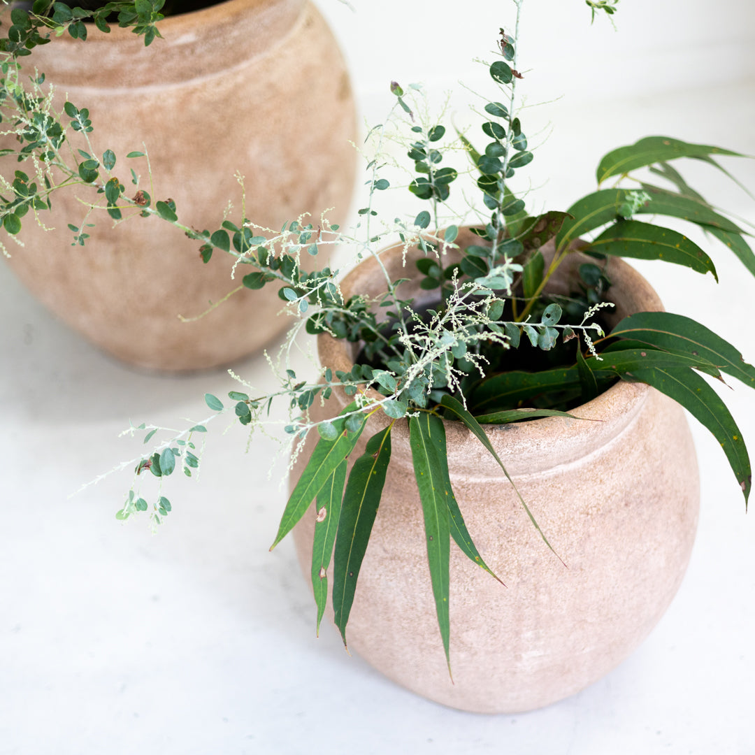 Chinuku : Terracotta Pot Dusty PInk Medium