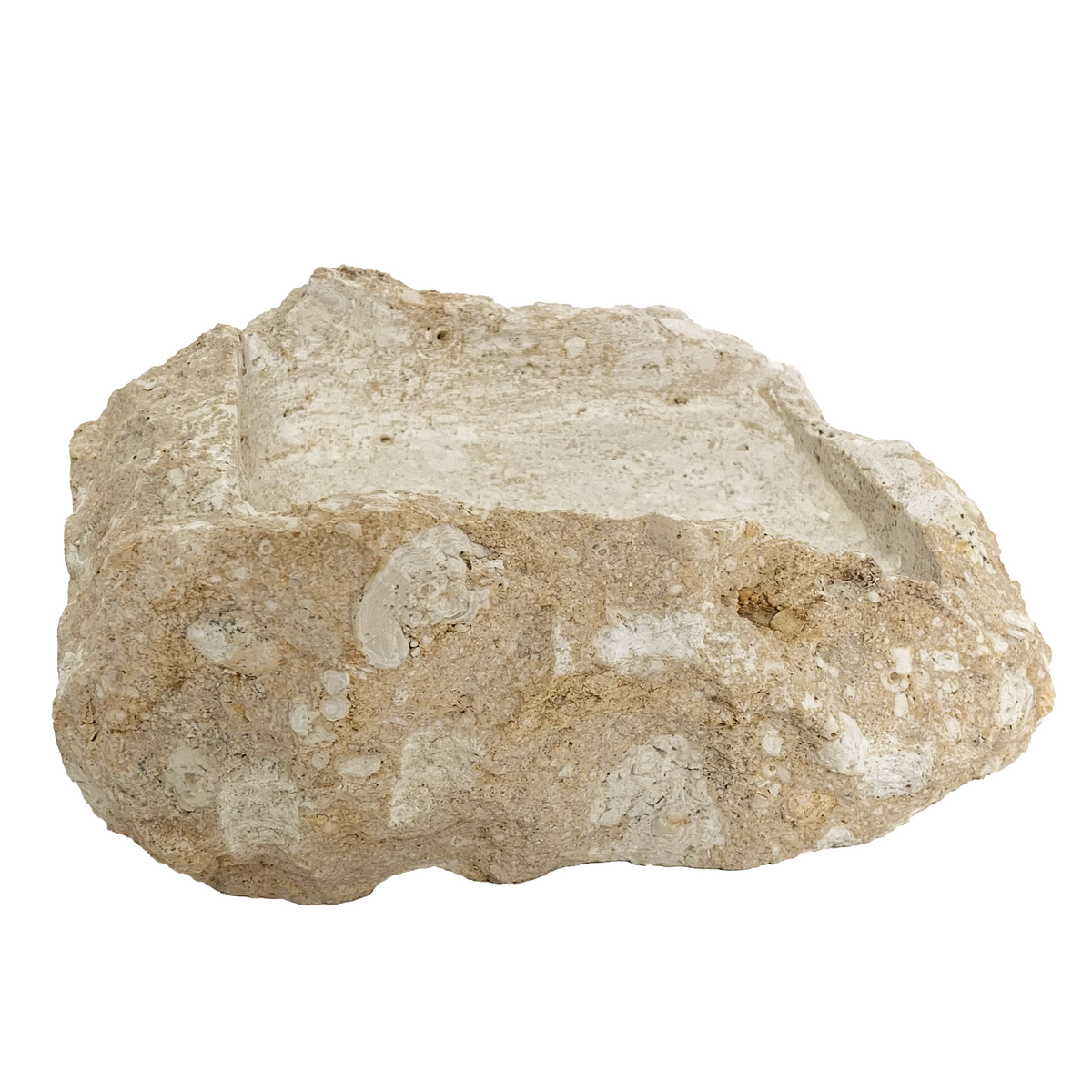 Utari : Soap Dish, fossilised coral