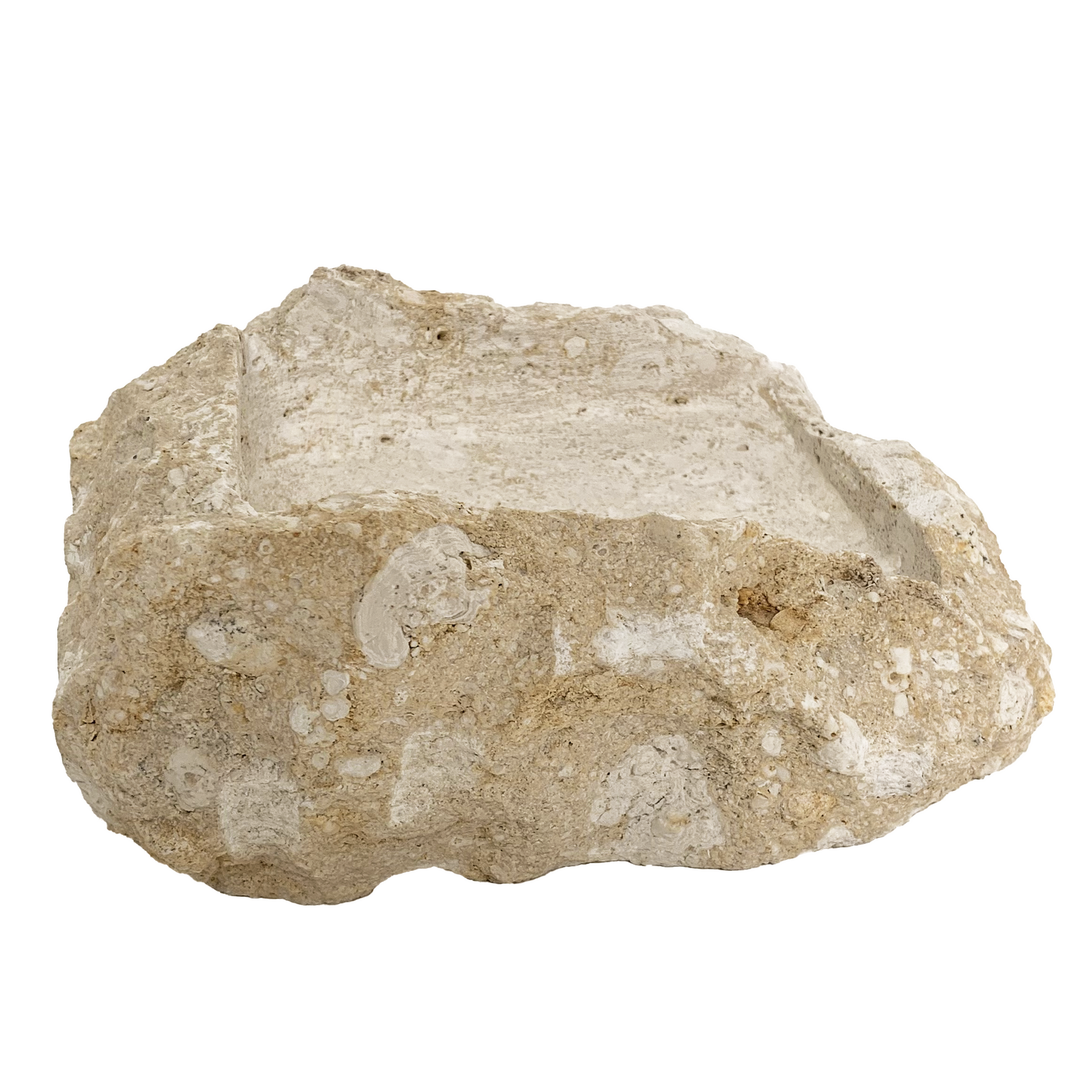 Utari : Soap Dish, fossilised coral