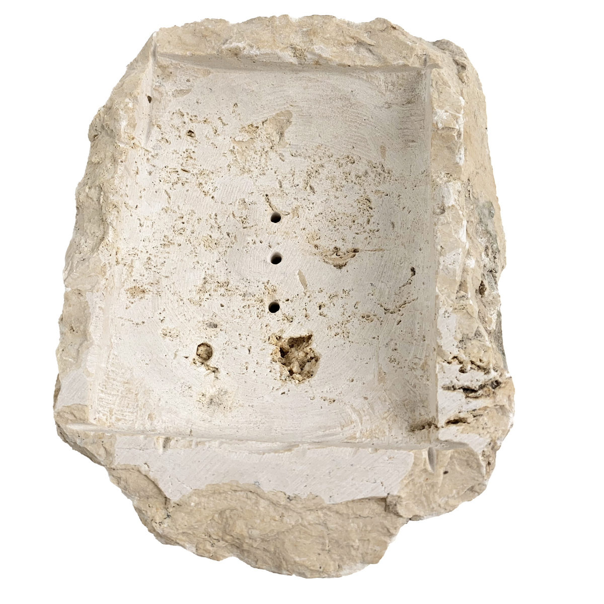 Utari : Soap Dish, fossilised coral