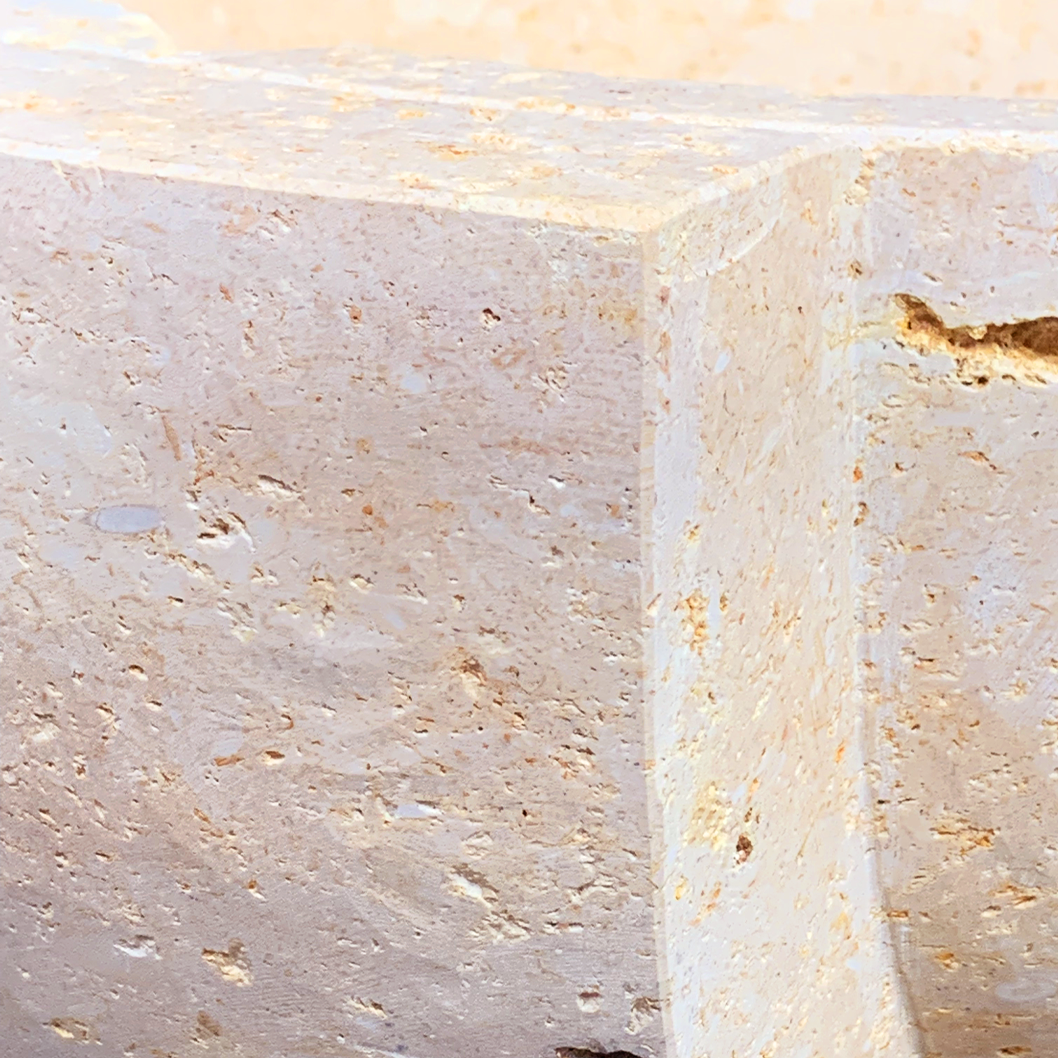 Tembo : Fossilised Coral  Bowl