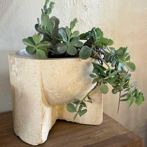 Banda : Fossilised Coral Bowl