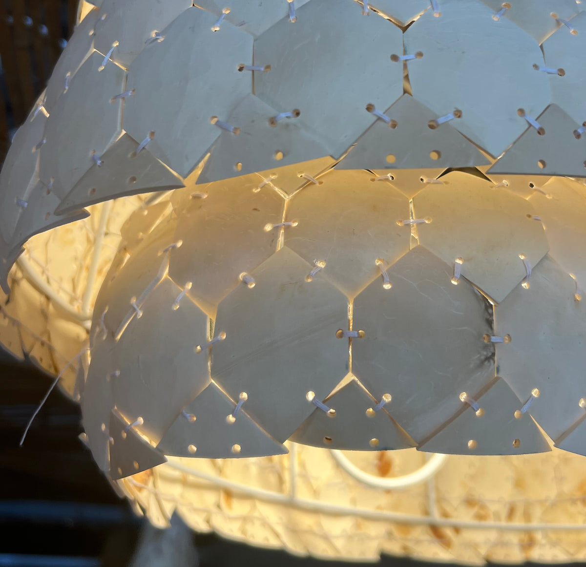 Kijani : Oval Coconut Light