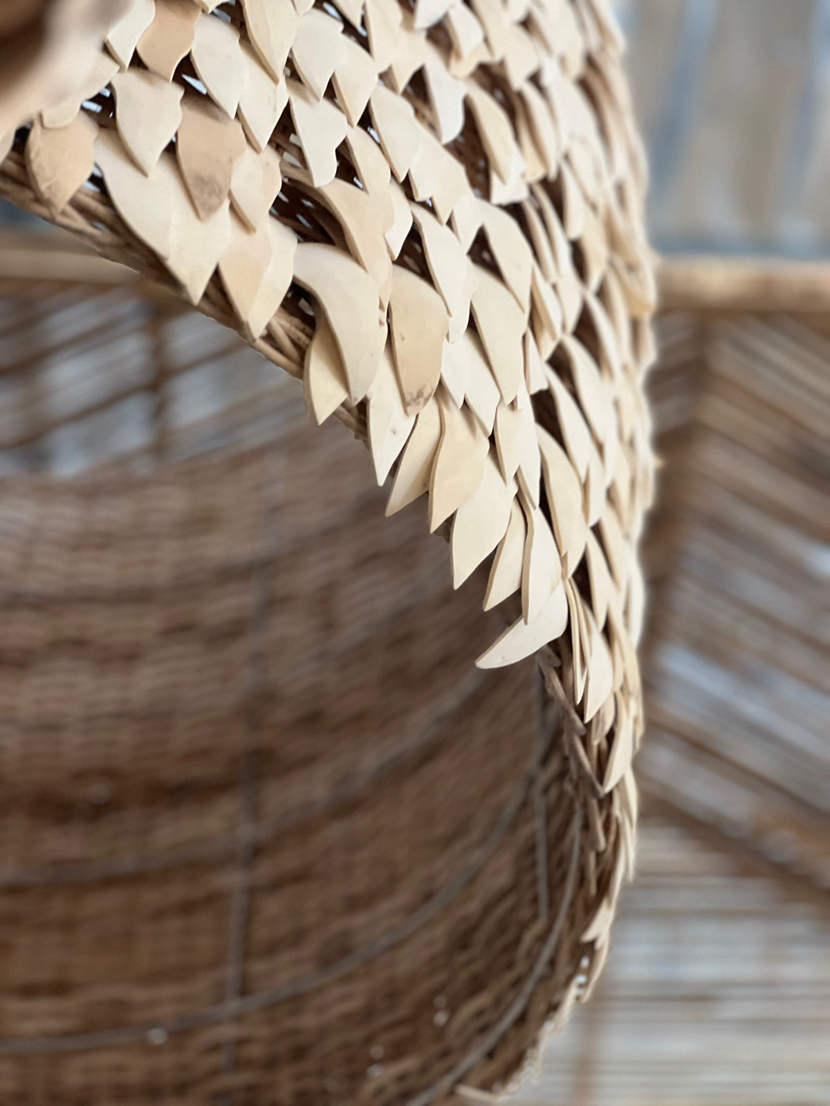 Kamia : Drum Coconut Light Small