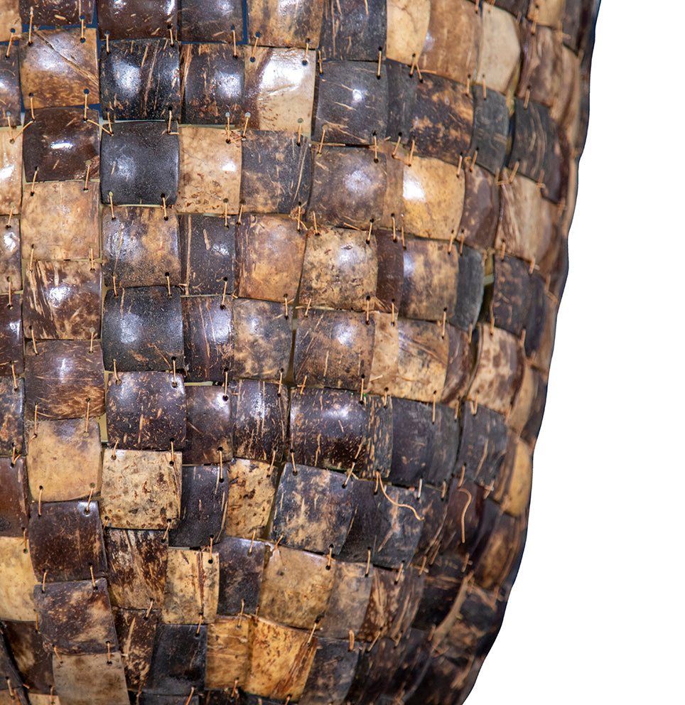 Coconut Shell Bowl Pendant Light