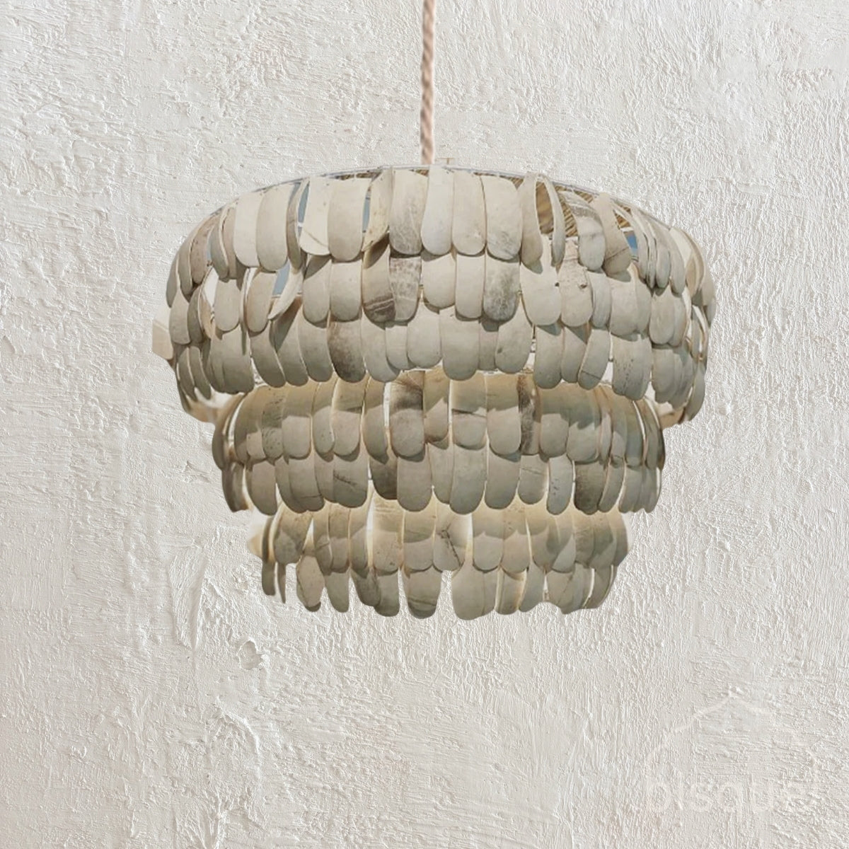 Adi : Coconut Shell "U" Pendant Light.