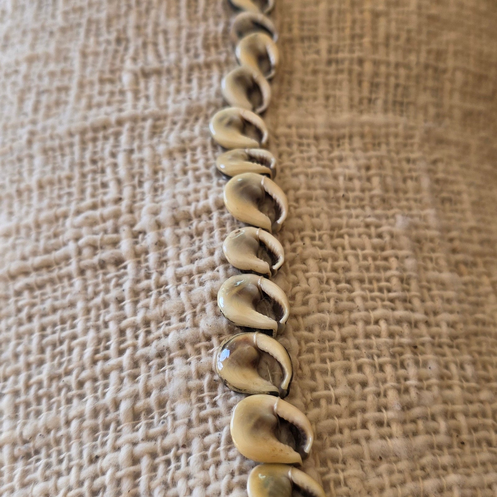 A single strand of cowrie shells laid vertically on a textured beige fabric background.