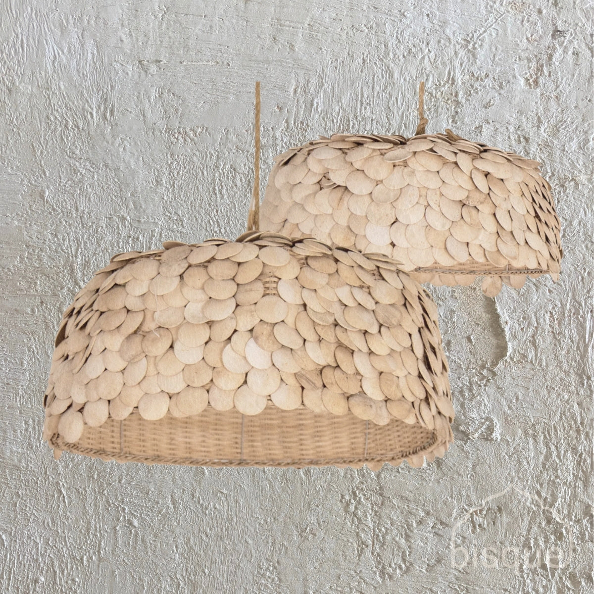 Sera : Coconut Dome Disc Light, Small.