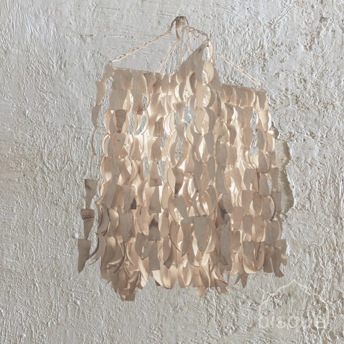 Star : Coconut Pendant Light.