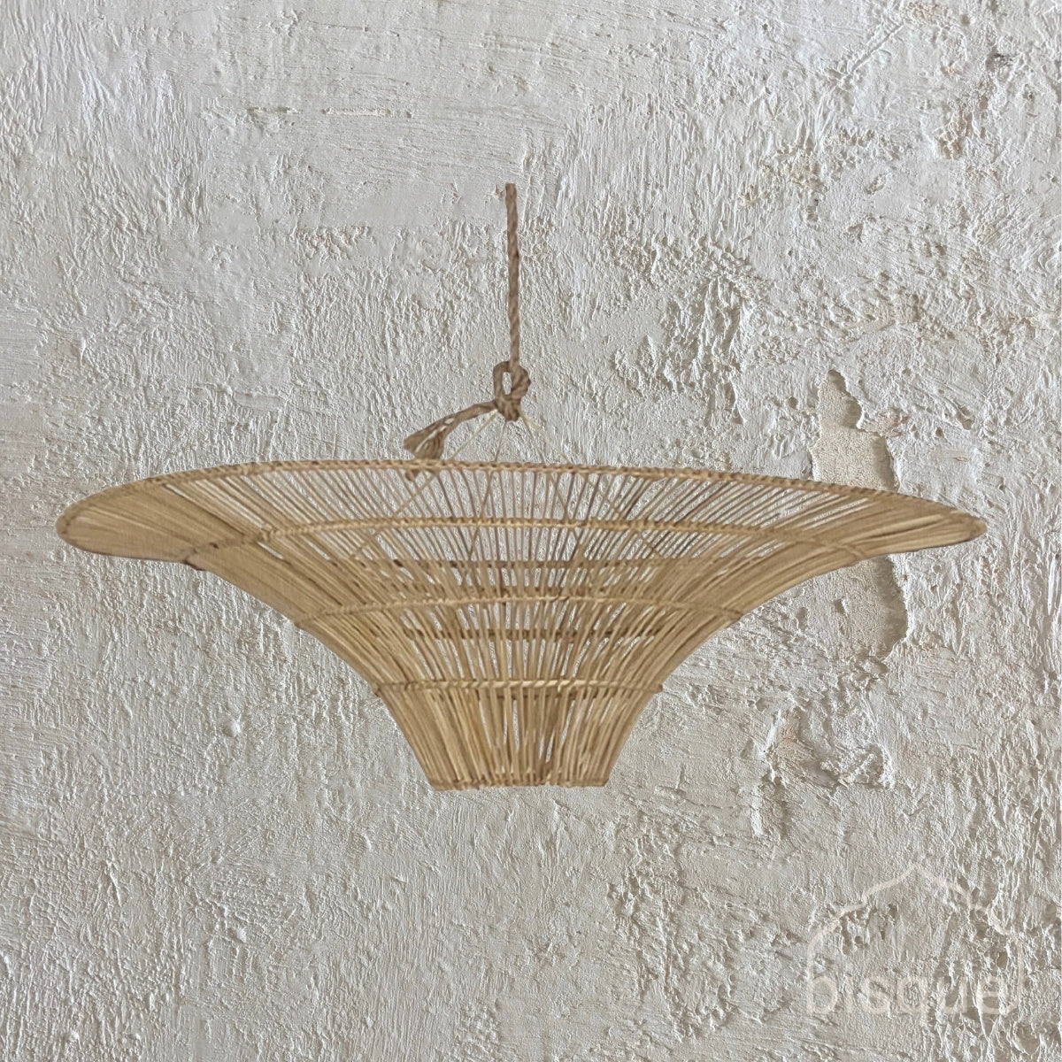 Tano : Pendant Light