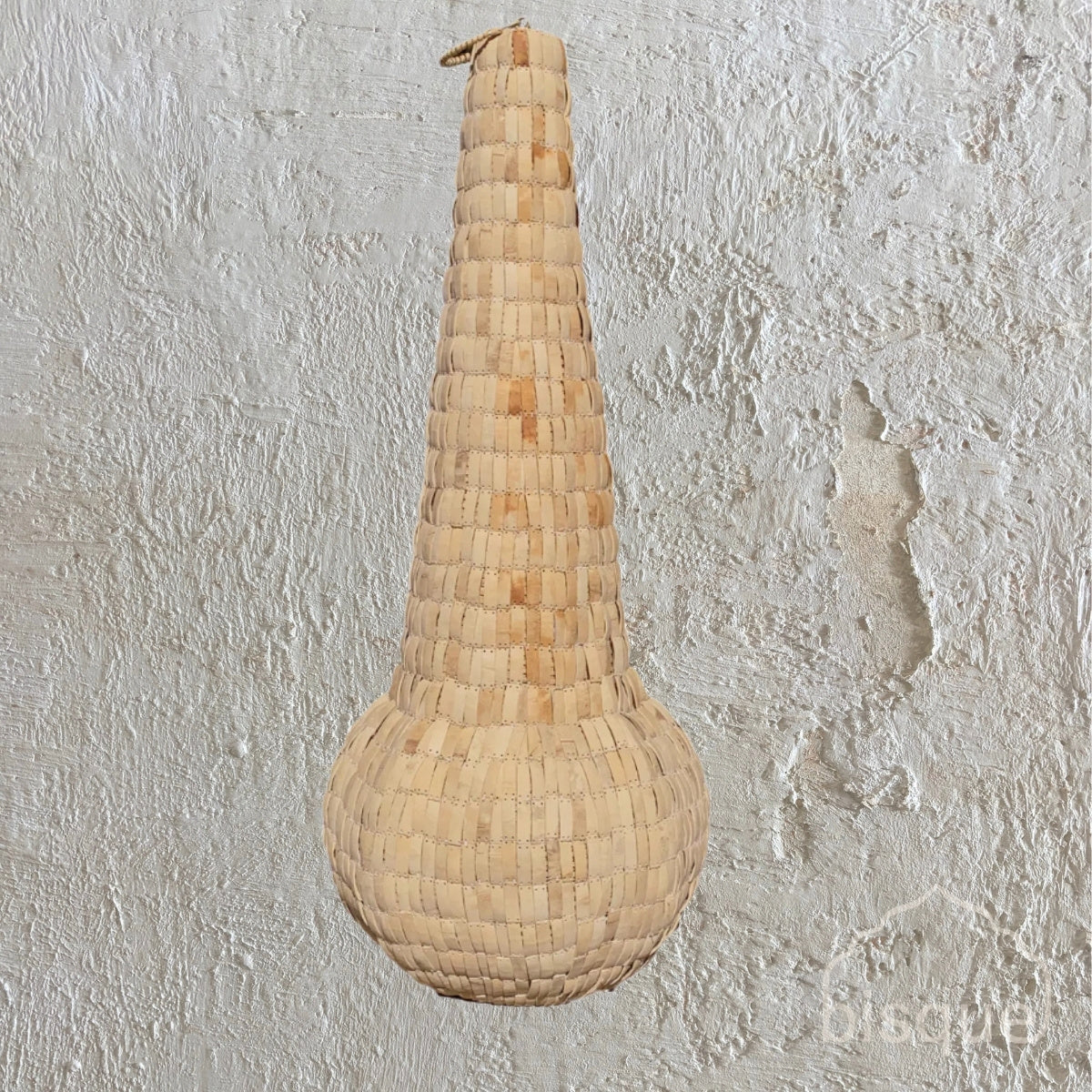 Lestari : Coconut Shell Pendant Light