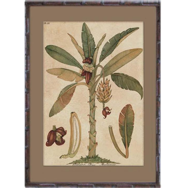 PAW PAW PALM PRINT