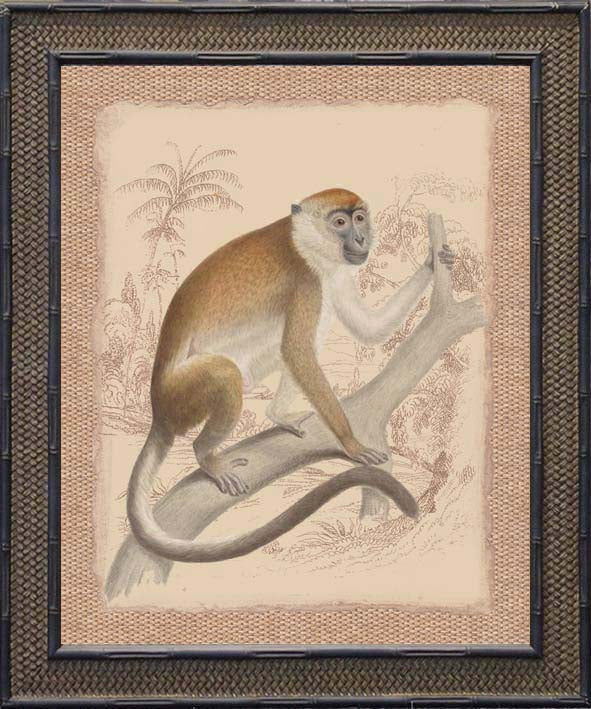 MONKEY PRINT IN FRAME A