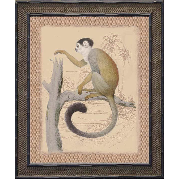 MONKEY PRINT IN FRAME