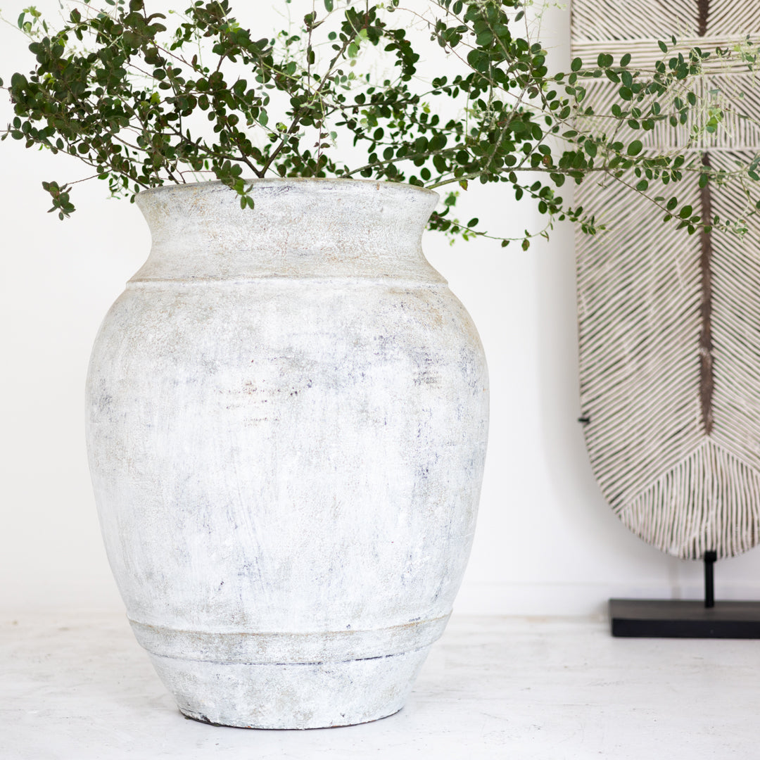 Jabari : Terracotta Pot, Whitewashed