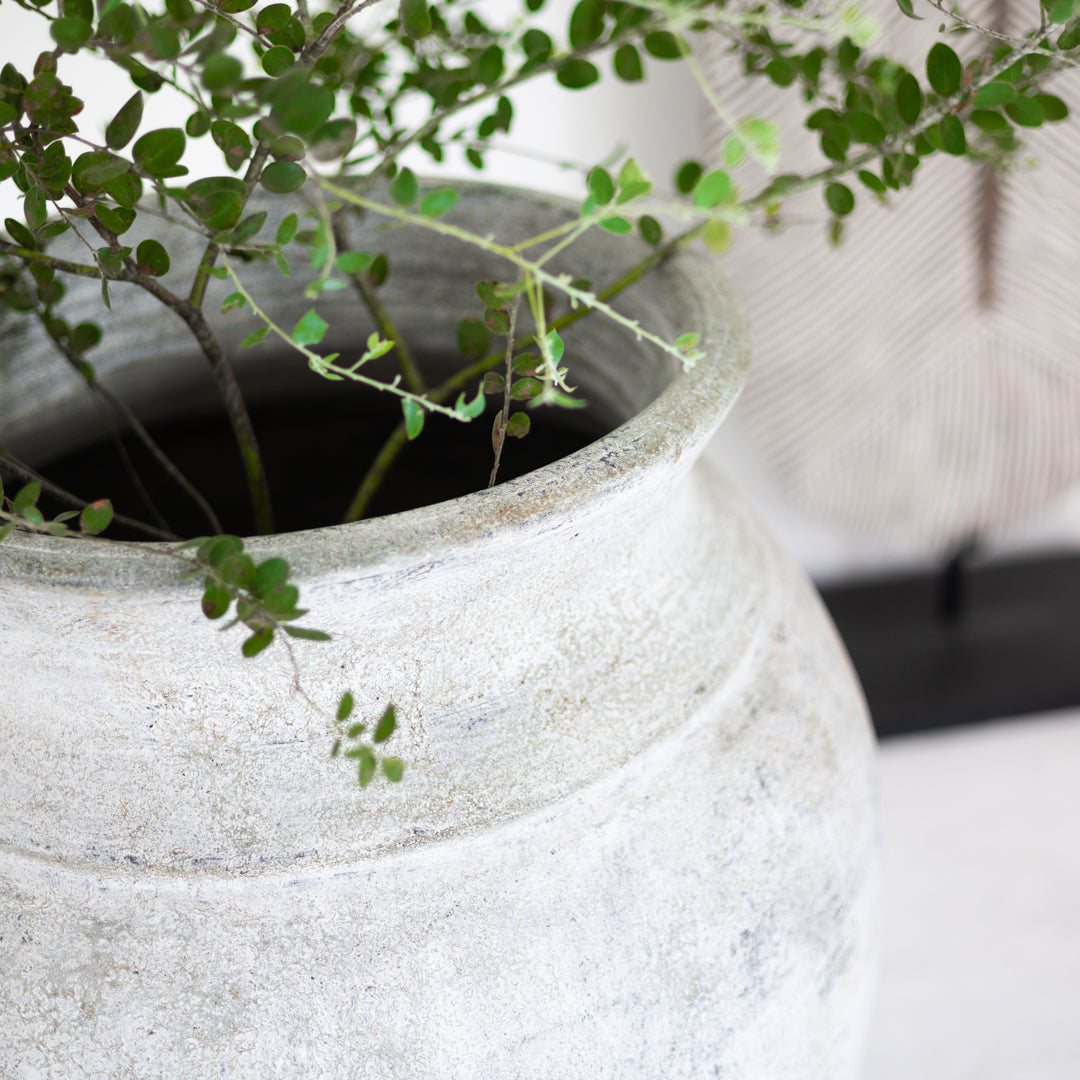 Jabari : Terracotta Pot, Whitewashed