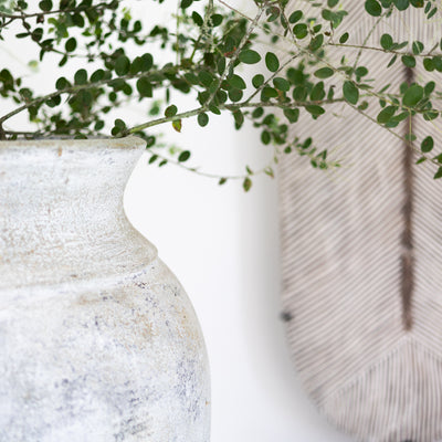'Jabari' Terracotta Pot, Whitewashed