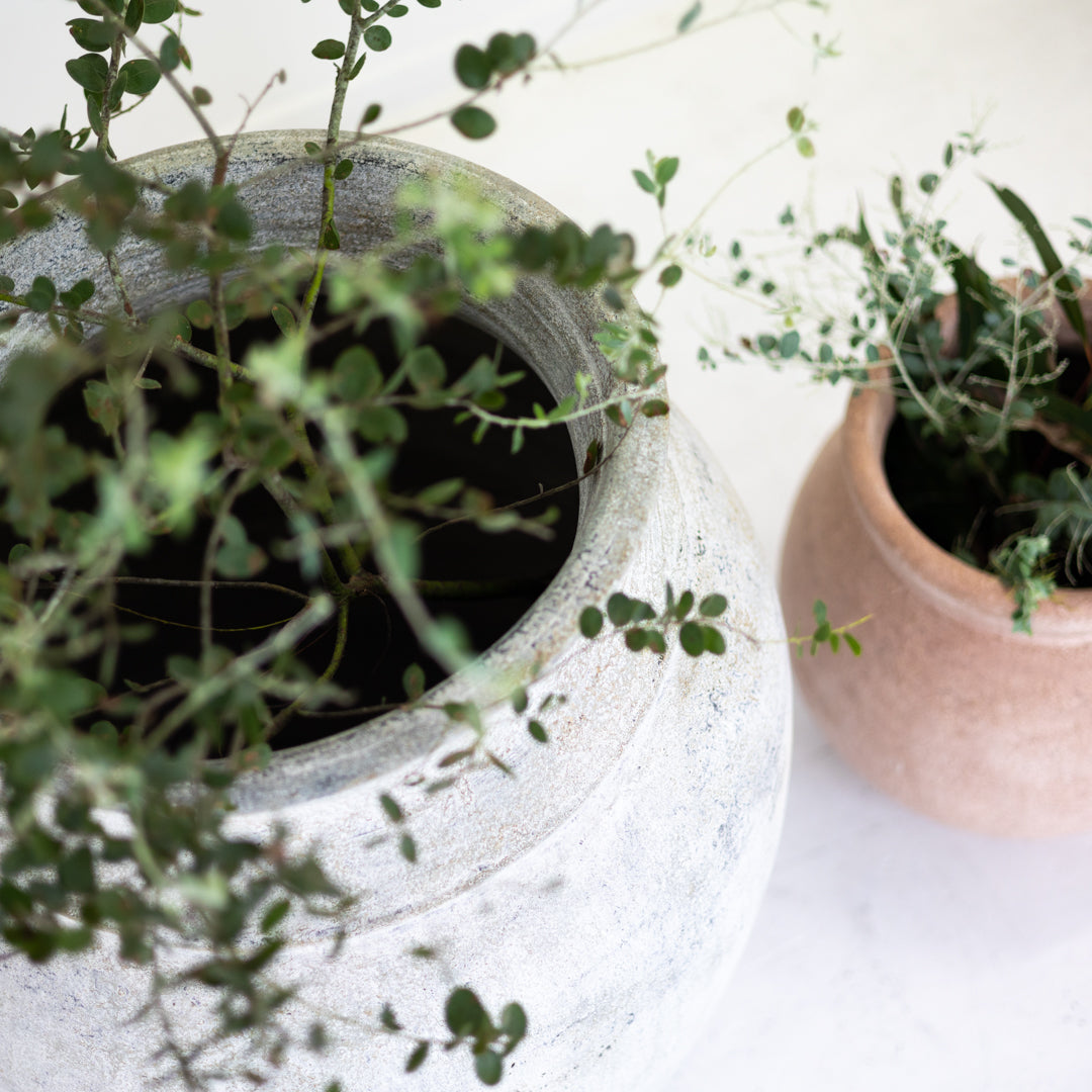 Jabari : Terracotta Pot, Whitewashed