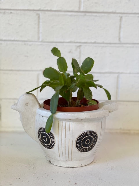 BELLA BIRD PLANTER NAT/WHITE