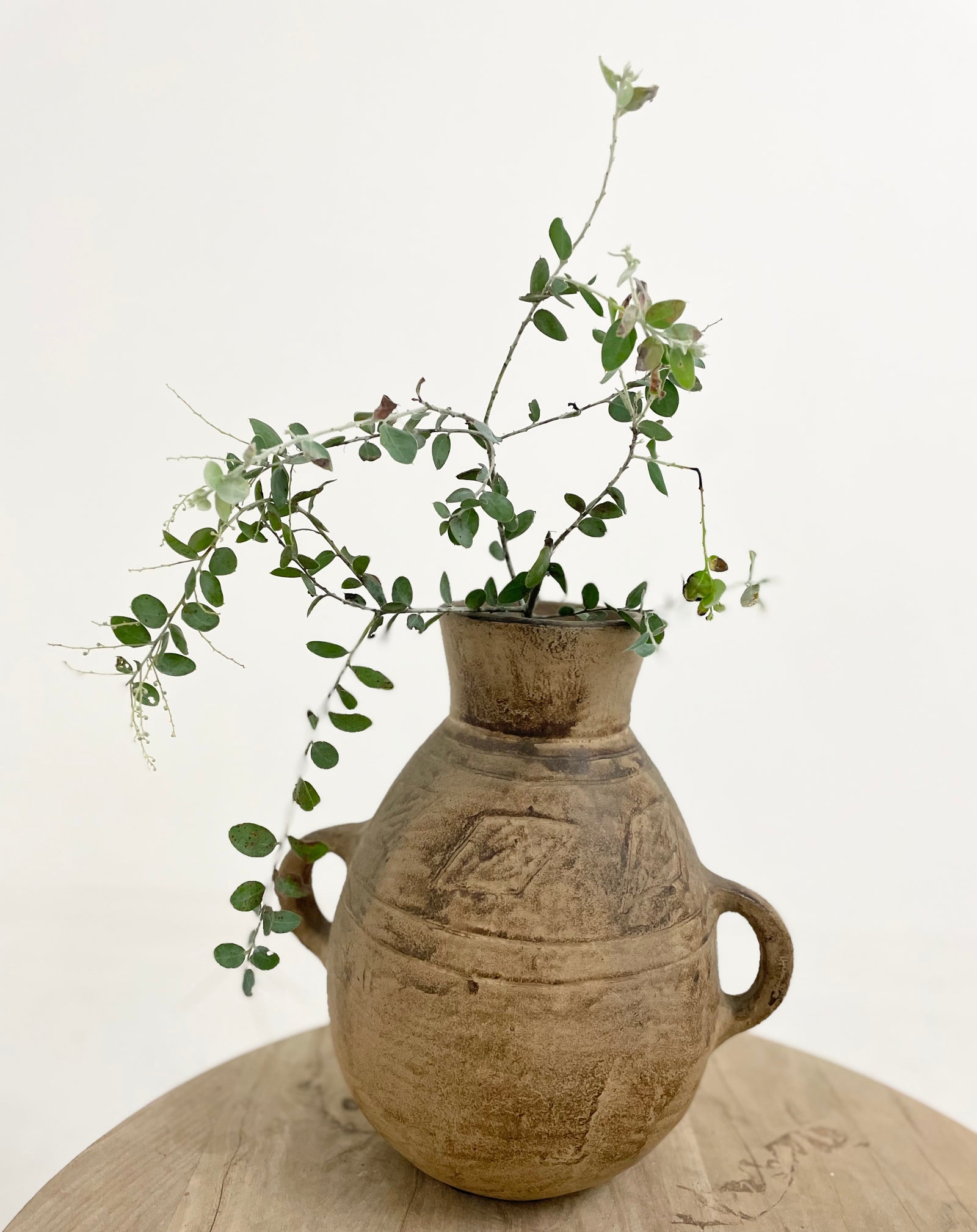 Apiyo : Jug, Double Handle